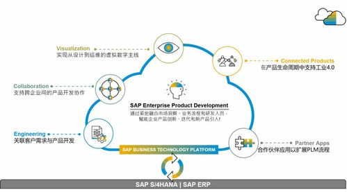 SAP供應鏈云三套產品落地中國，官方培訓課程助您操作無憂，管理高效